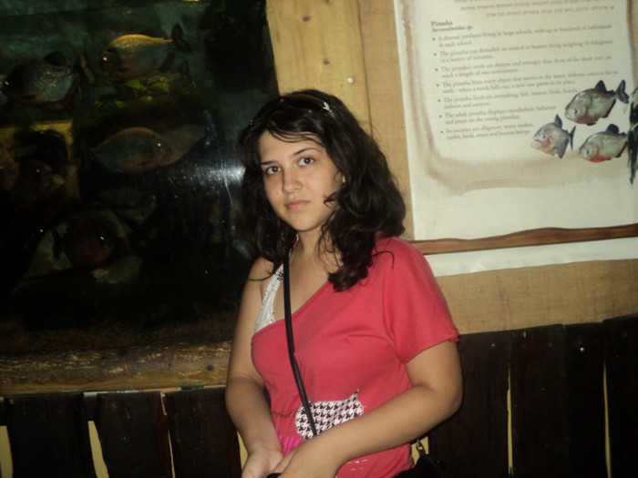 DSC03048