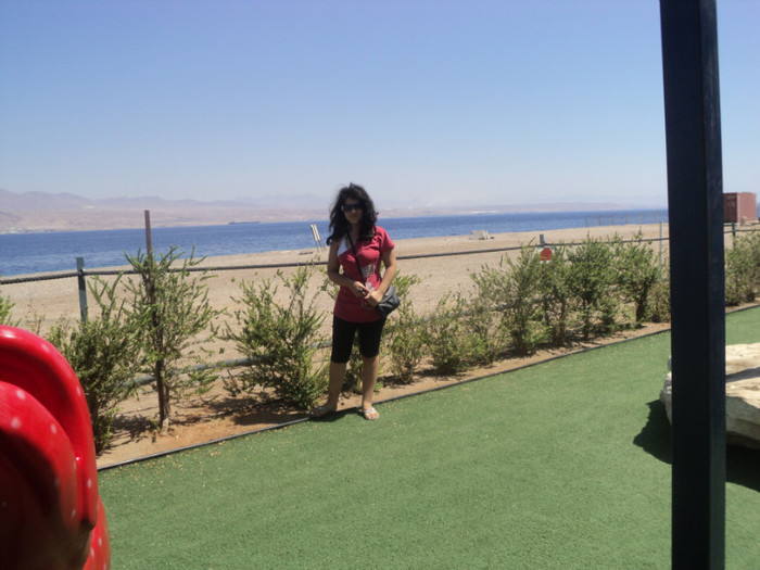 DSC03052