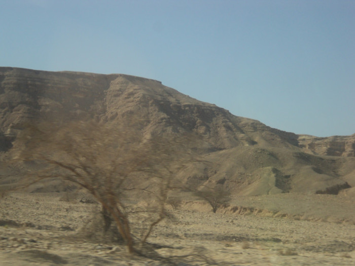 DSC03061 - EILAT