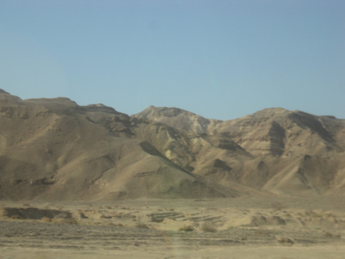 DSC03062