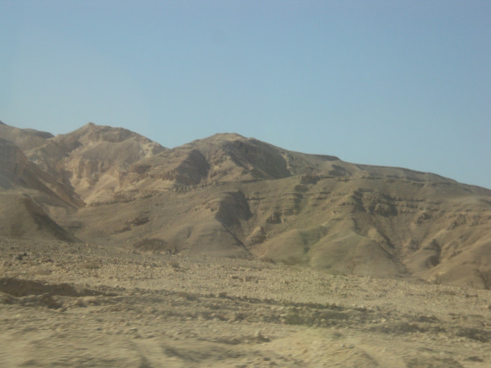 DSC03063 - EILAT