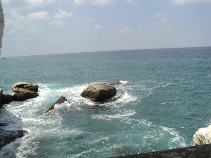 DSC02831