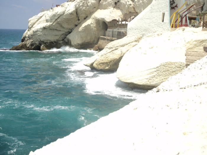 DSC02841
