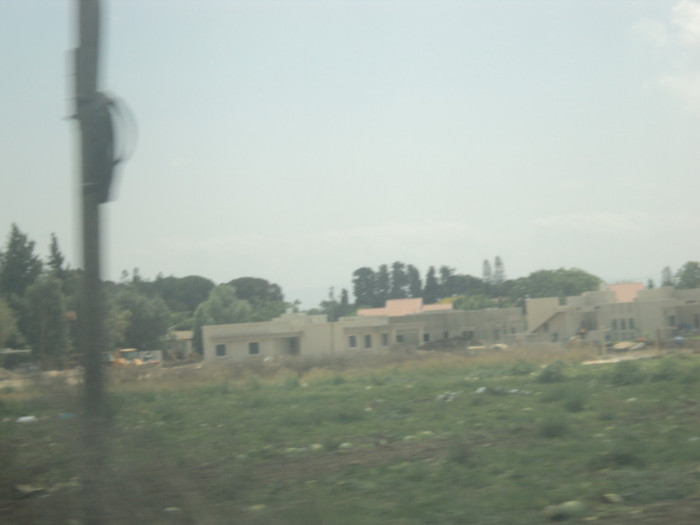 DSC02920