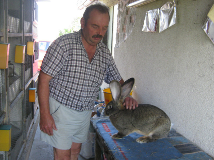 tineret 2012 -oktombrie - Knoll Franz campionul european europa meister Knoll Franz