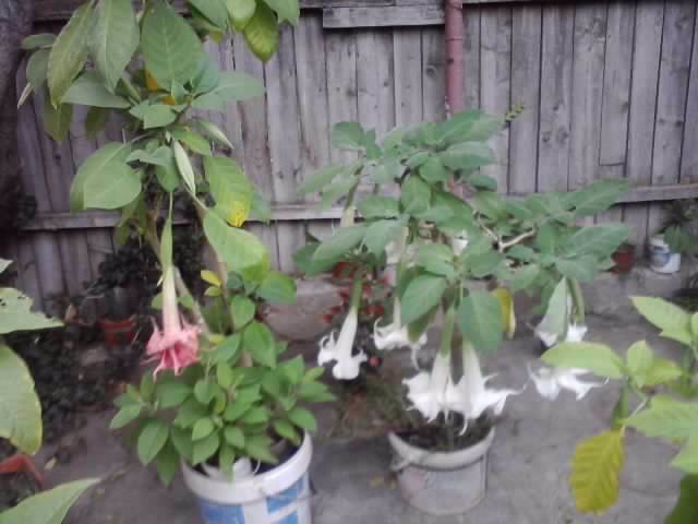 P290912_21.27_[03]