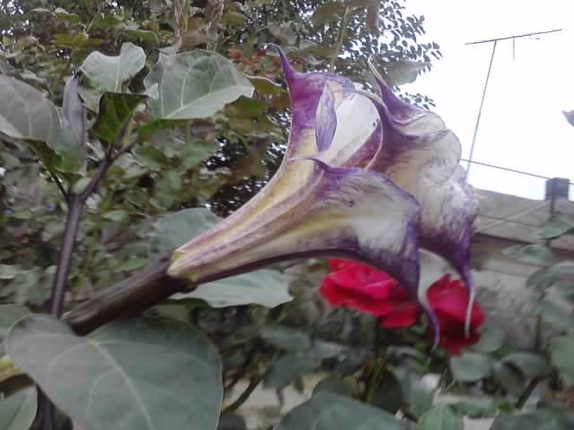 P290912_21.33_[01]