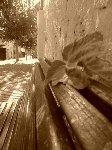 101020124612 - A1 alb  negru si un pic de sepia