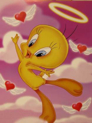 7614_tweety - TwEeTy