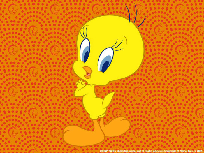 tweety2_wall_1024x768 - TwEeTy