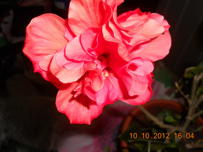 DSCN2093