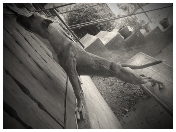 pizap.com13498539317111