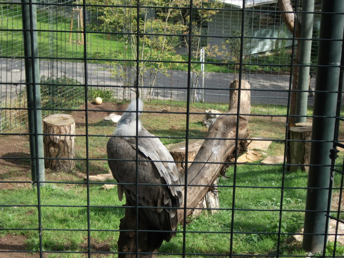 Picture 328