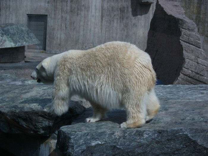 Picture 336