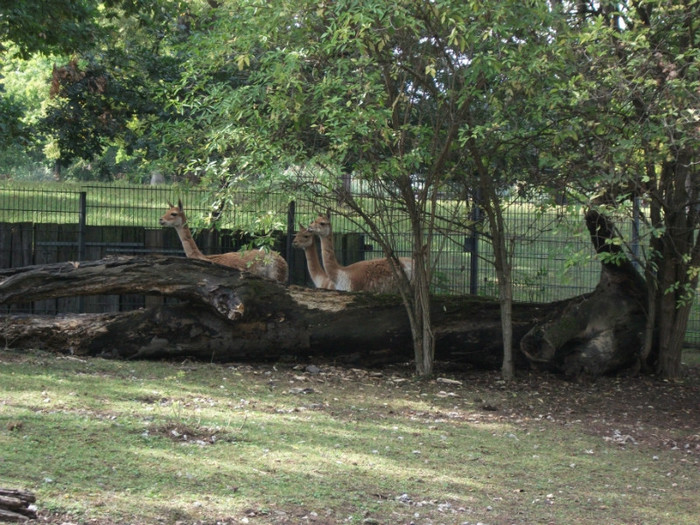 Picture 344