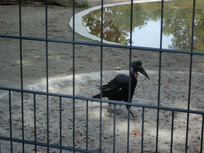 Picture 346