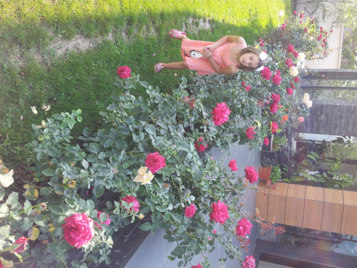 CELE MAI FRUMOASE FLORI