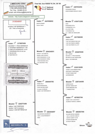 p 43 - PEDIGREE MATCA