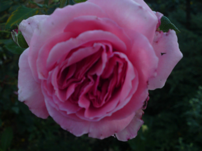 DSC01211