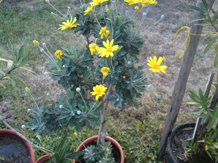 DSC01174