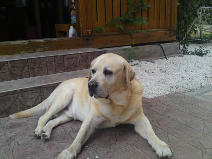 septembrie 2012 021 - Octombrie 2012