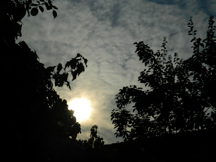 DSCN8857 - OCTOMBRIE 2012