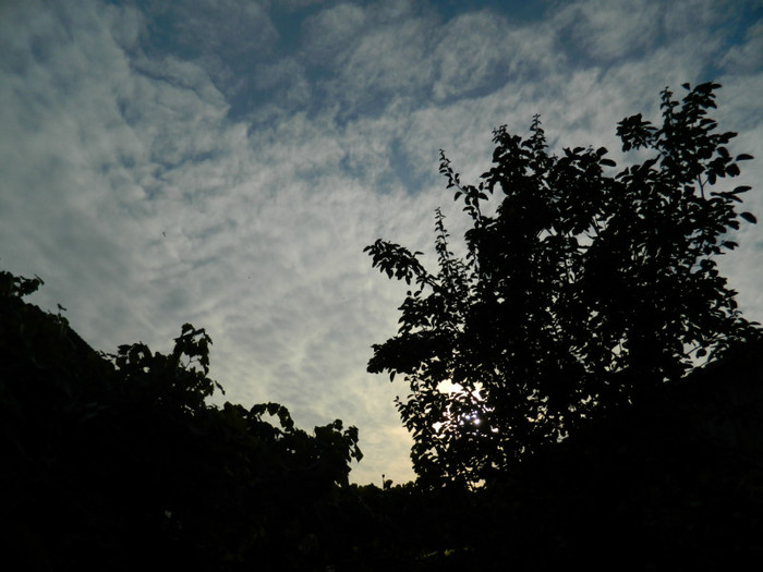 DSCN8861 - OCTOMBRIE 2012