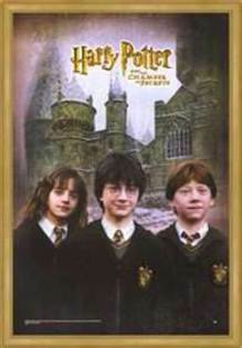 185 - Harry Potter si Camera Secretelor 2002