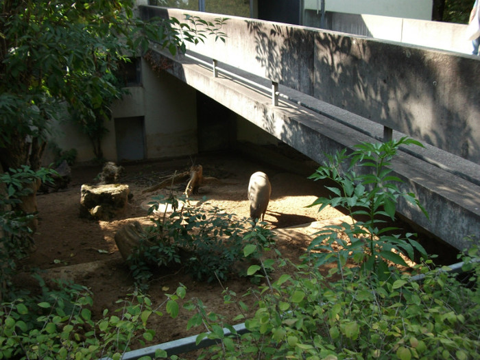 Picture 376