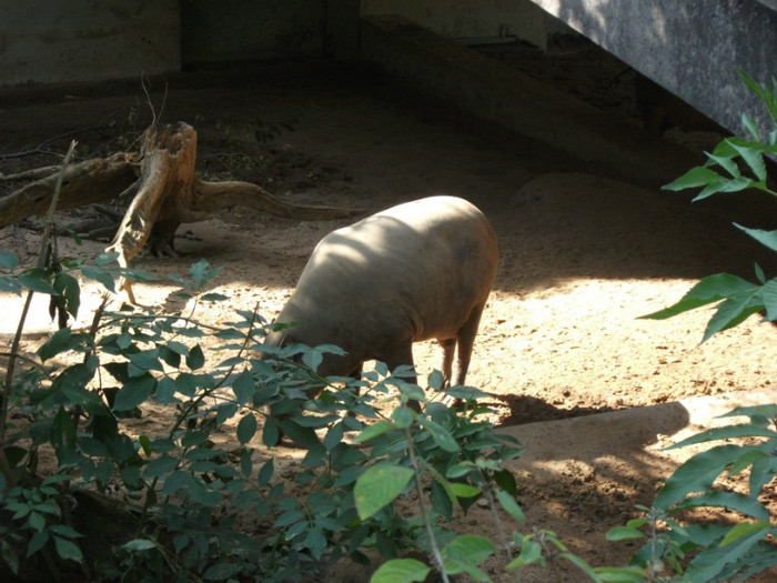 Picture 377