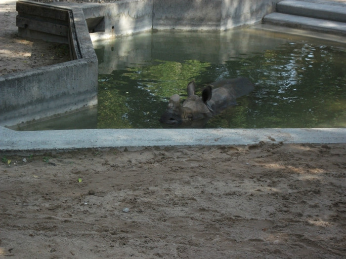 Picture 379