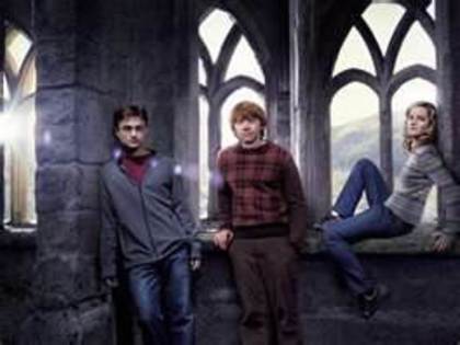 111 - Harry Potter si Ordinul Phoenix 2007