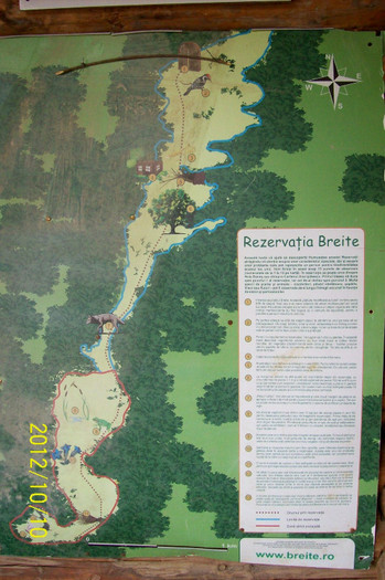 101_0045 - SIGHISOARA REZERVATIA NATURALA  PLATOUL BREITE