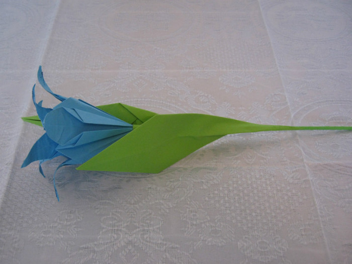 IMG_1459 - Origami