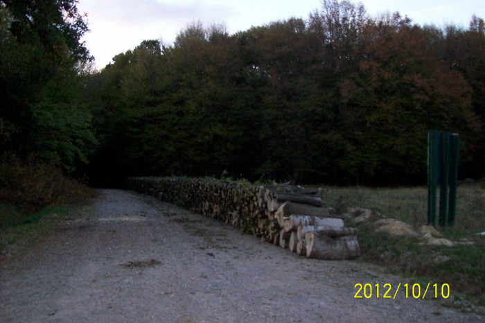 101_0120  INOPTAM IN DRUMUL  SPRE IESIRE DE PE PLATOU,,