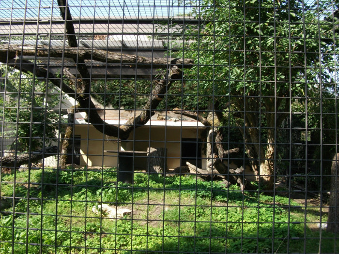 Picture 391 - Gradina zoologica