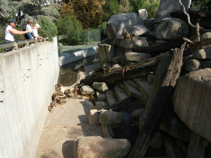 Picture 395 - Gradina zoologica