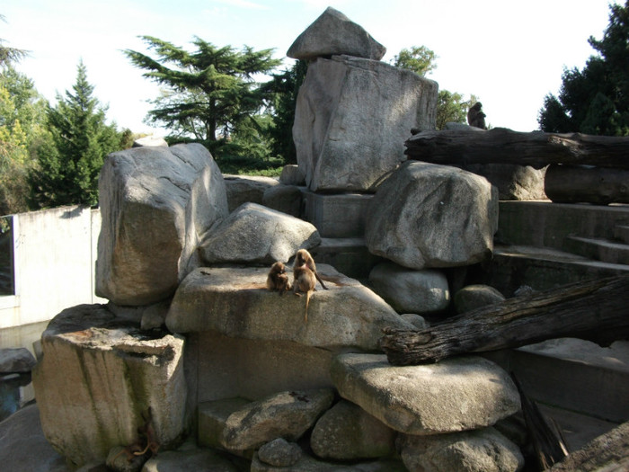 Picture 398 - Gradina zoologica