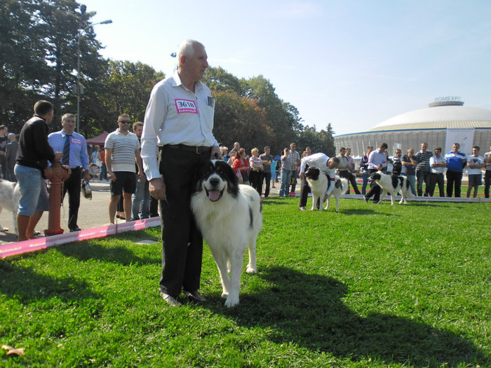 SAM_0633 - EURO DOG SHOW 2012