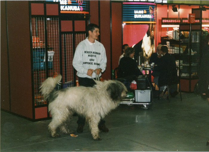 URSU CHARLEROI EURO DOG SHOW 2 - Ursu