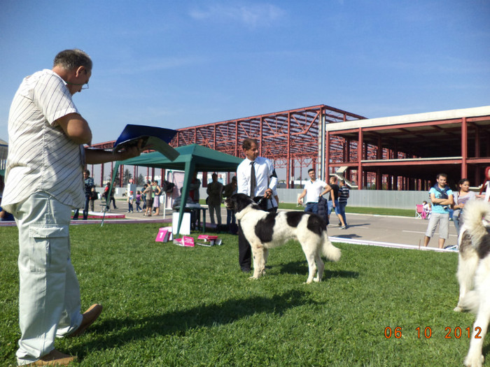 A-ILIE LA EURO DOG SHOW BUC. 2012