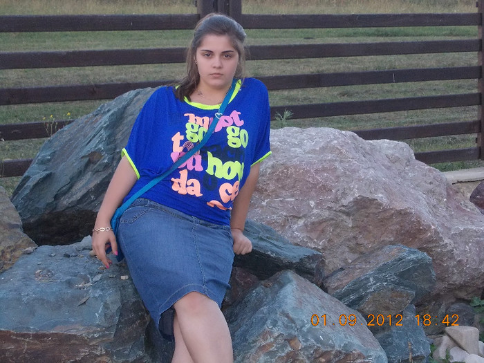 PENSIUNEA CAROL NT