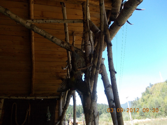 DSCN4007