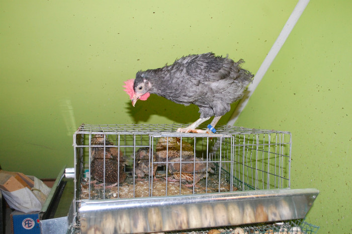13.oct.2012