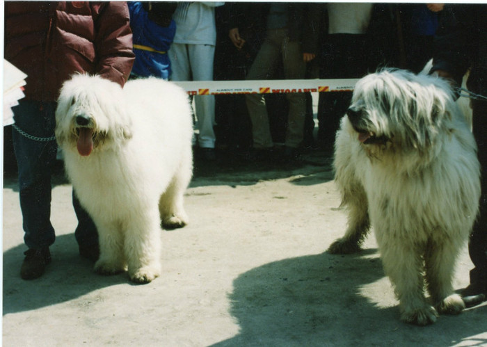 CAROL DE BRILLANTIM dr cu IASMIN DE ROMANIA stg FLOREASCA 1999 - Bucuresti Floreasca 1999