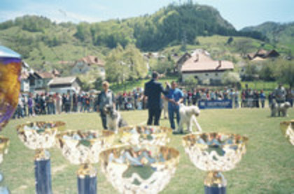 Premiile Rucar 2004 - Premii chinologice