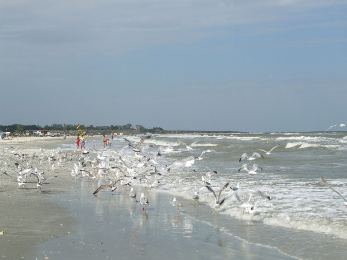 1 - Plaja Corbu - august 2012