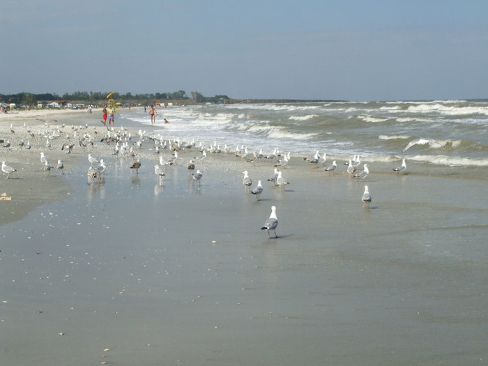 21 - Plaja Corbu - august 2012