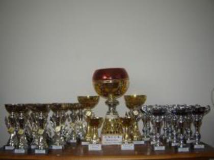 CupeExpo cLUJ 2006 - Premii chinologice