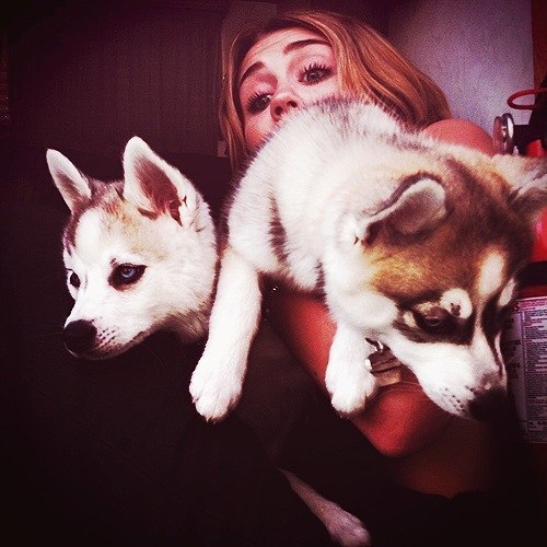 tumblr . miley 00 (10) - 0x - Tumblrs - with - Miley